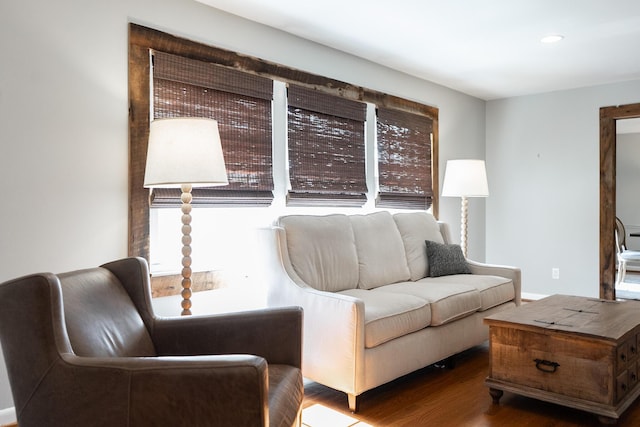 living room with dark wood-type flooring