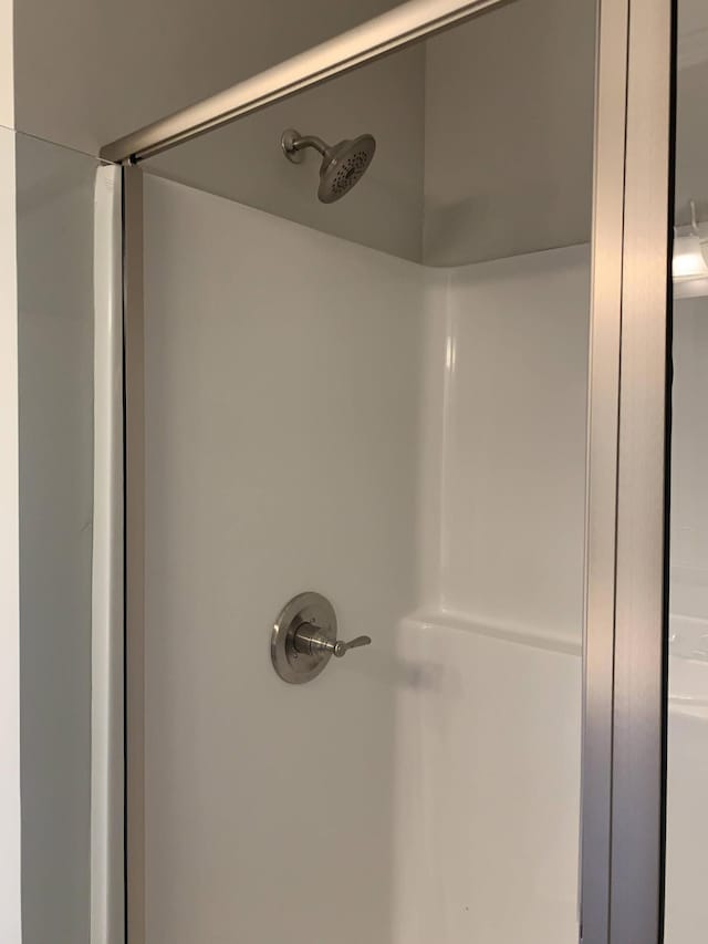 interior details with walk in shower