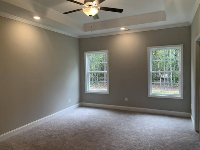 carpeted spare room with crown molding, a raised ceiling, a wealth of natural light, and baseboards