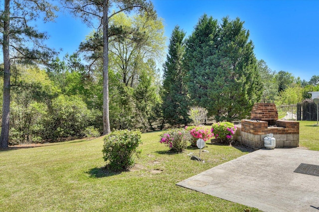 view of yard with a patio