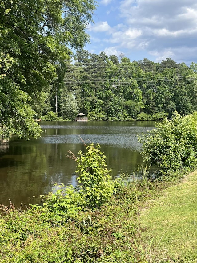 view of water feature with a view of trees