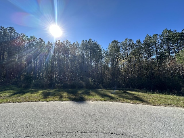 1229 Edge Ln, Tignall, GA 30668 - photo 1