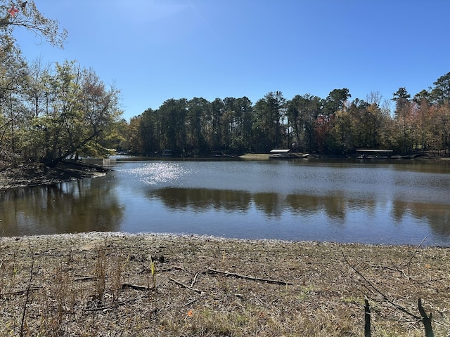 1229 Edge Ln, Tignall, GA 30668 - photo 4