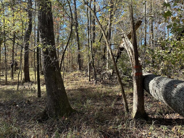 1229 Edge Ln, Tignall, GA 30668