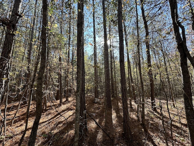1229 Edge Ln, Tignall, GA 30668