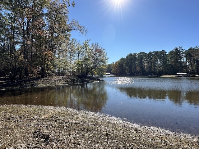 1229 Edge Ln, Tignall, GA 30668 - photo 5