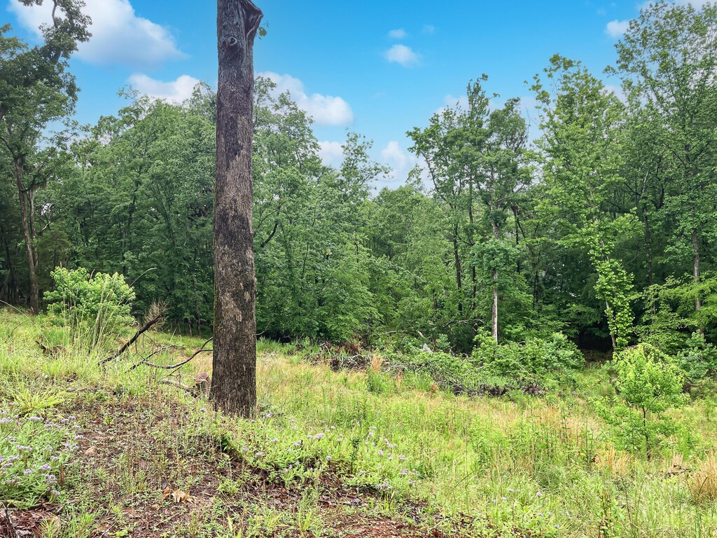 610 Savannah Barony Dr, North Augusta, SC 29841 - photo 4