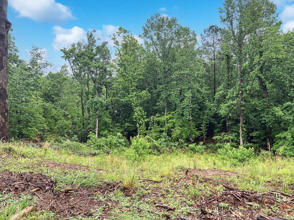 610 Savannah Barony Dr, North Augusta, SC 29841 - photo 3