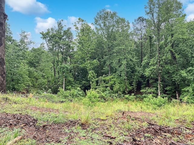 610 Savannah Barony Dr, North Augusta, SC 29841 - photo 3