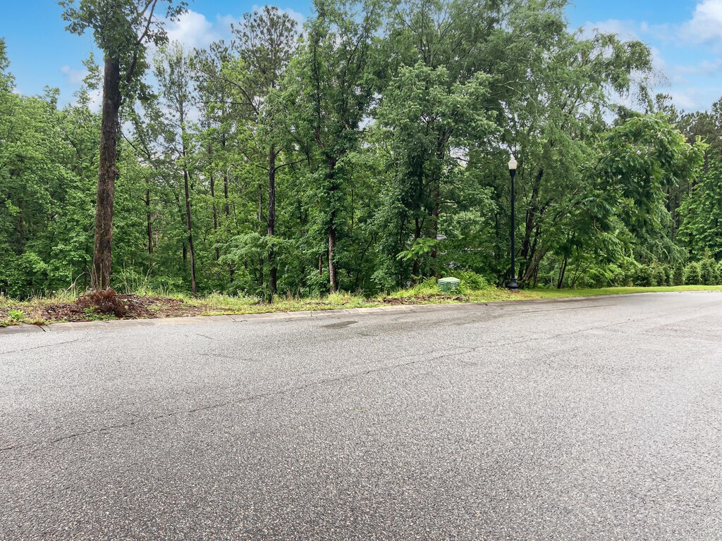 610 Savannah Barony Dr, North Augusta, SC 29841 - photo 1