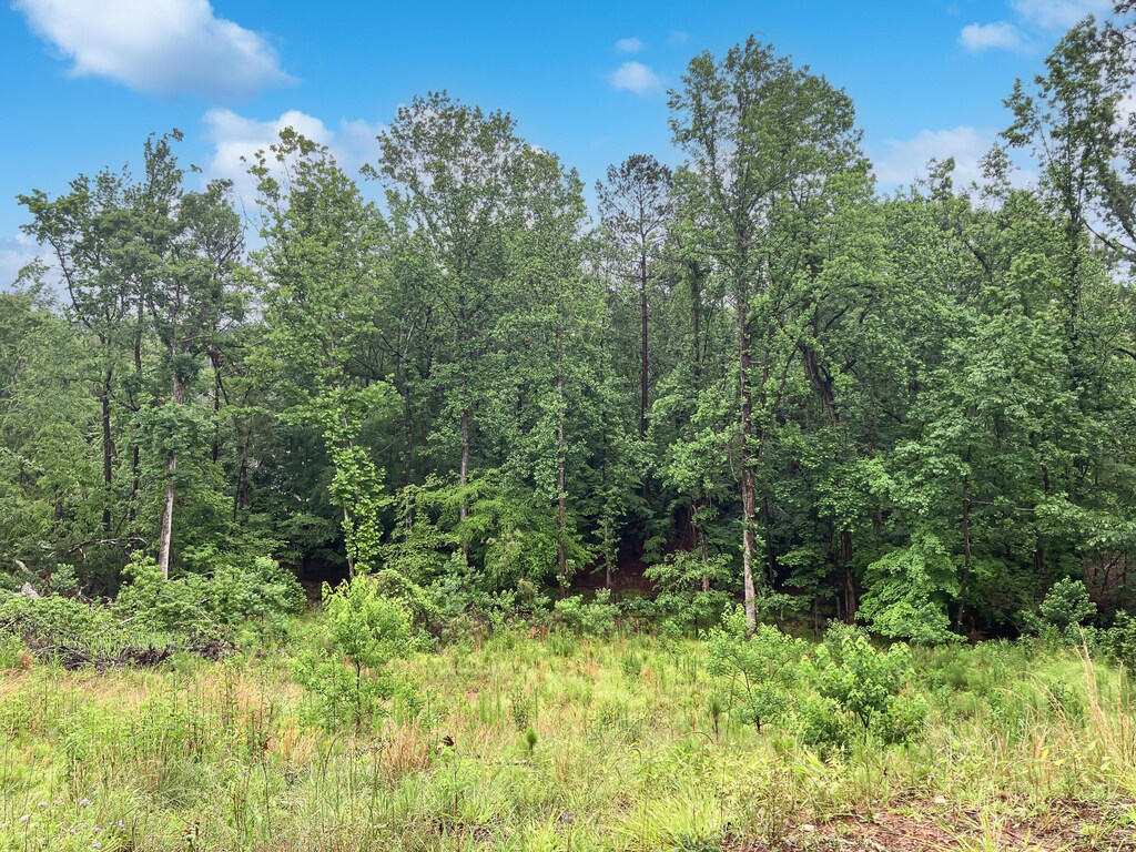 610 Savannah Barony Dr, North Augusta, SC 29841 - photo 2