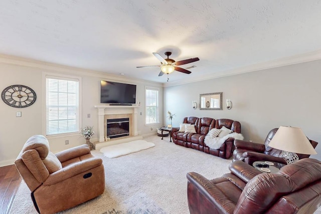 living room with ceiling fan, a wealth of natural light, carpet, and crown molding