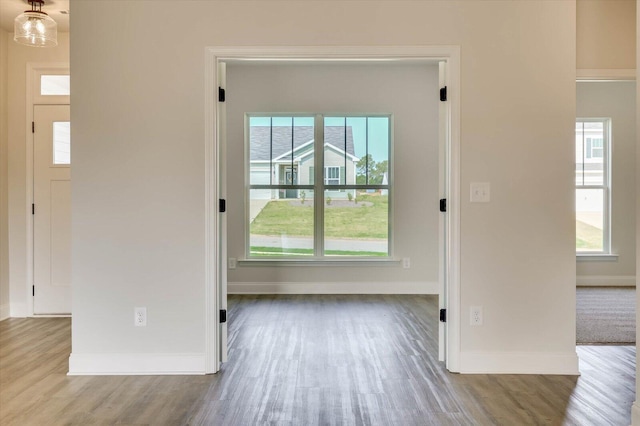 interior space featuring light wood-type flooring and plenty of natural light