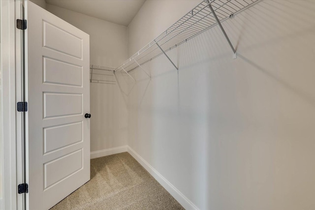 walk in closet featuring light colored carpet