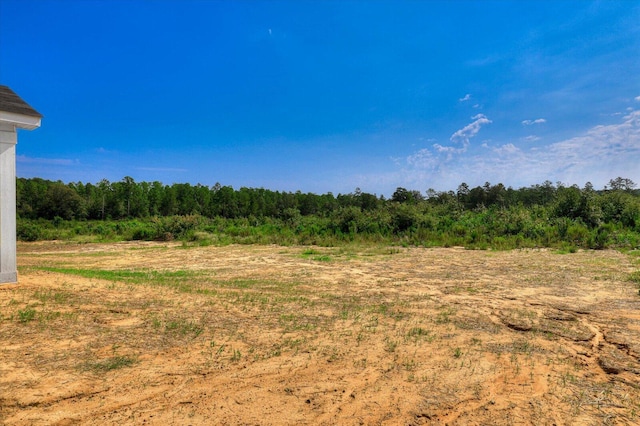 view of local wilderness