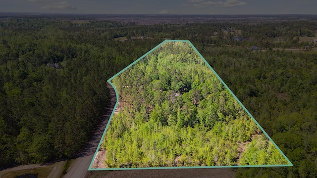 birds eye view of property with a forest view
