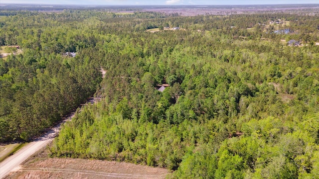 bird's eye view with a forest view