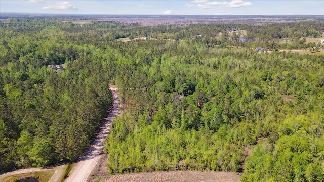 bird's eye view with a forest view