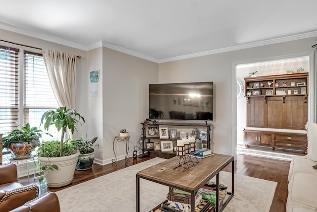 217 Longmeadow Rd, North Augusta, SC 29860 - living area featuring wood finished floors and ornamental molding