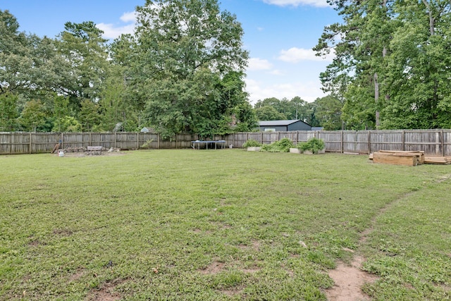 217 Longmeadow Rd, North Augusta, SC 29860 - fenced backyard with a trampoline