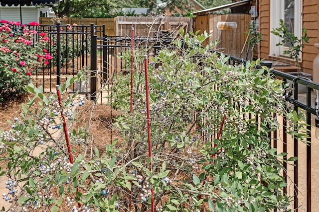 217 Longmeadow Rd, North Augusta, SC 29860 - view of yard