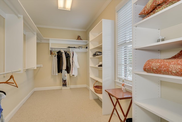 view of spacious closet