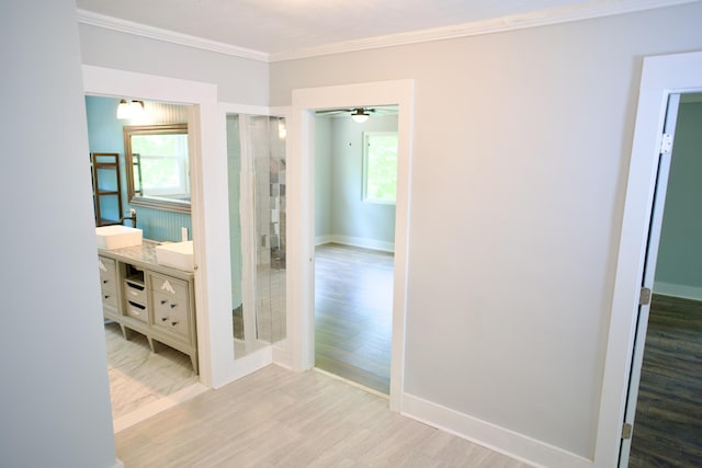 hall featuring crown molding, baseboards, a healthy amount of sunlight, and wood finished floors