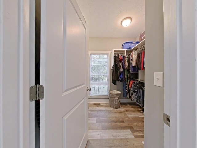 spacious closet featuring light hardwood / wood-style floors