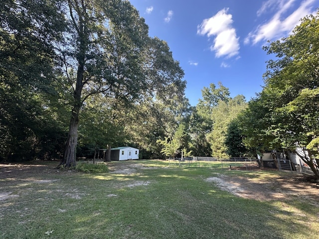 view of yard with a shed