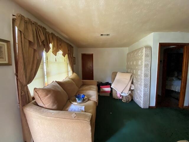 1012 14th Ave, Augusta, GA 30901 - living room featuring carpet floors
