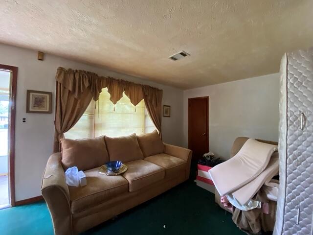 1012 14th Ave, Augusta, GA 30901 - carpeted living room featuring a textured ceiling
