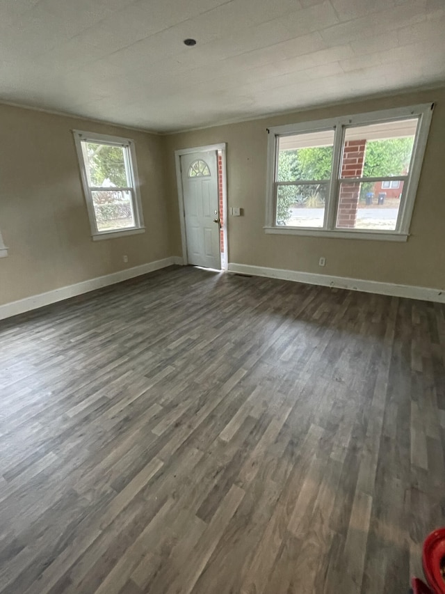 foyer with dark wood-type flooring and a healthy amount of sunlight