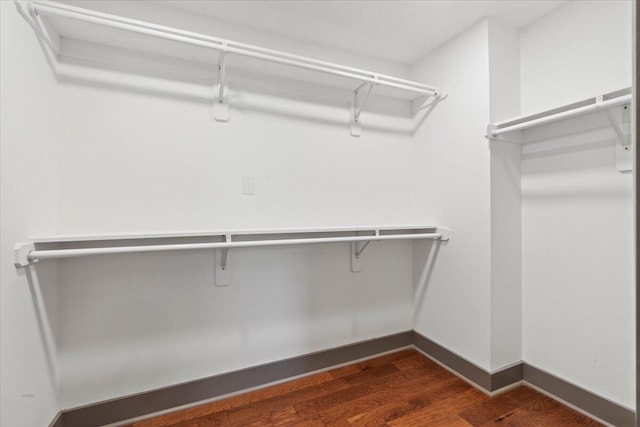 walk in closet with dark wood-style floors