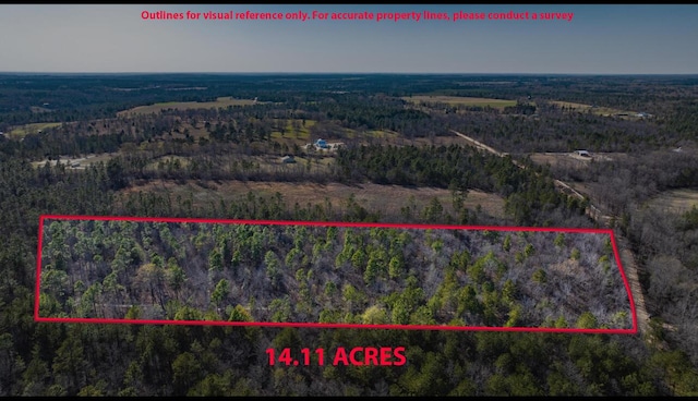 LOT14 Bluffwood Rd, Wagener, SC 29164 - photo 2