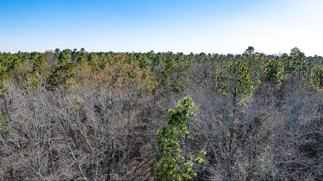 LOT14 Bluffwood Rd, Wagener, SC 29164 - photo 4