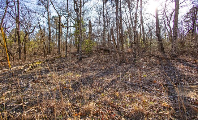LOT14 Bluffwood Rd, Wagener, SC 29164 - photo 8