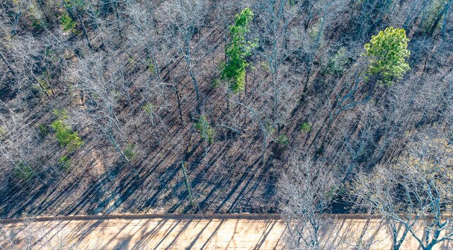 LOT14 Bluffwood Rd, Wagener, SC 29164 - photo 7