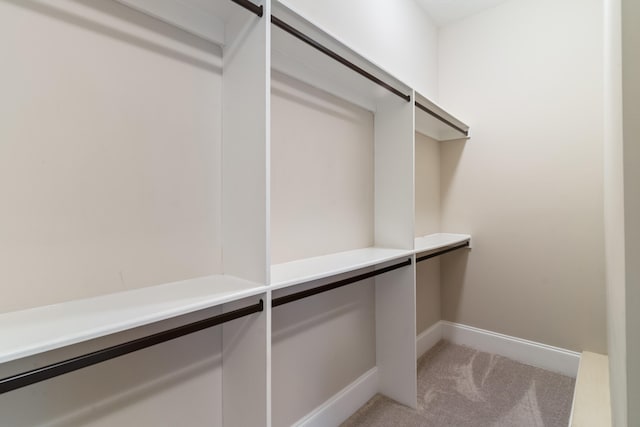 spacious closet featuring carpet