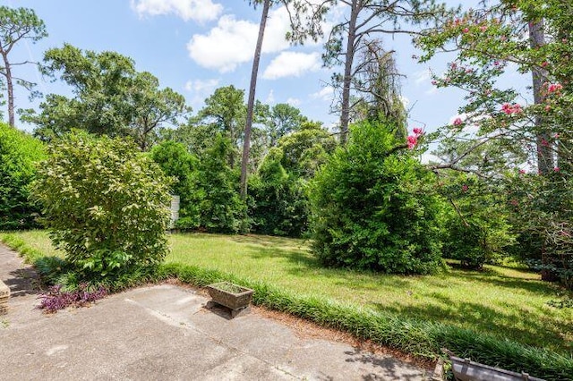 view of yard with a patio