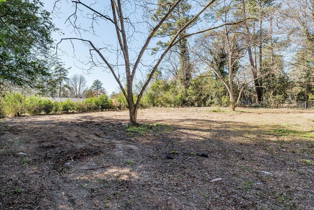 321 Padrick St, Martinez, GA 30907 - view of yard
