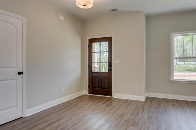 entryway featuring hardwood / wood-style flooring and a wealth of natural light