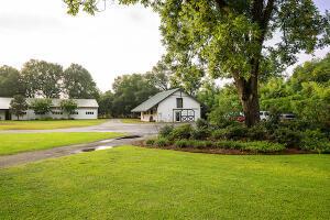 1792 Appleton Rd, Allendale, SC 29810 - view of yard