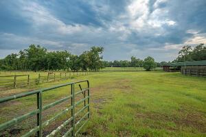1792 Appleton Rd, Allendale, SC 29810 - view of yard featuring a rural view