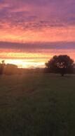 1792 Appleton Rd, Allendale, SC 29810 - view of nature at dusk