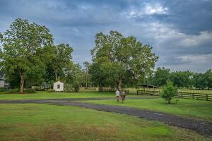 1792 Appleton Rd, Allendale, SC 29810 - view of property's community featuring a yard