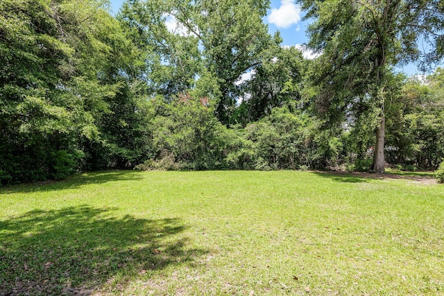 19174 Atomic Rd, Jackson, SC 29831 - photo 23