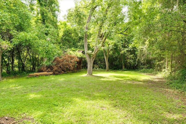 65 W Calhoun St, Wadley, GA 30477 - view of yard