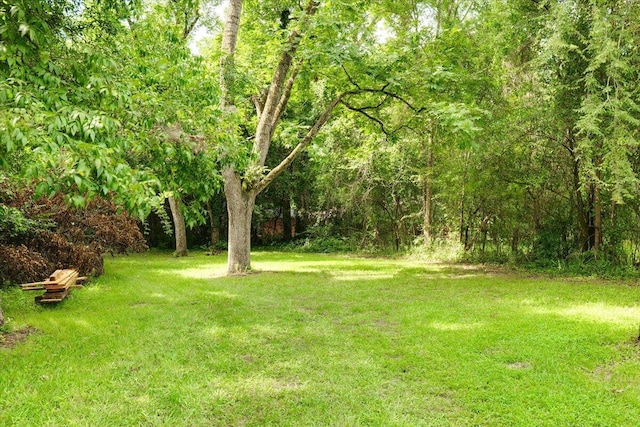 65 W Calhoun St, Wadley, GA 30477 - view of yard