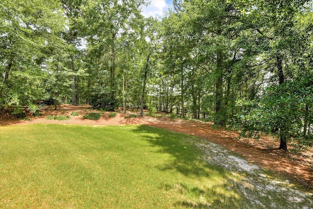 512 Nandina Ct, Aiken, SC 29801 - photo 50