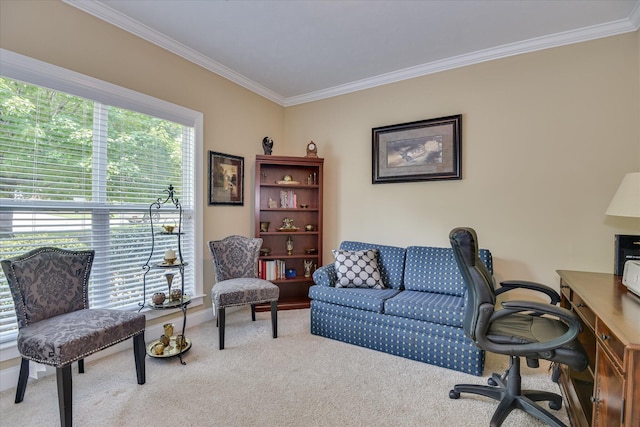 512 Nandina Ct, Aiken, SC 29801 - photo 26